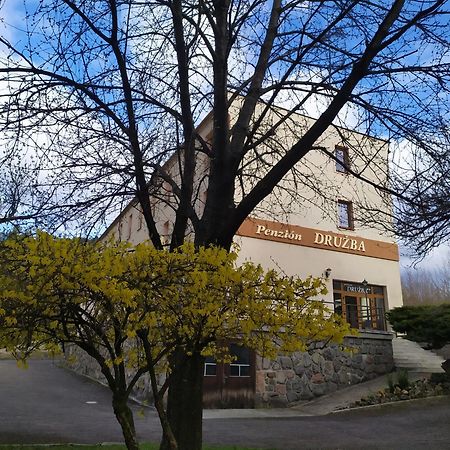 Penzion Druzba Бойнице Экстерьер фото