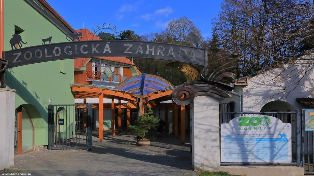 Penzion Druzba Бойнице Экстерьер фото